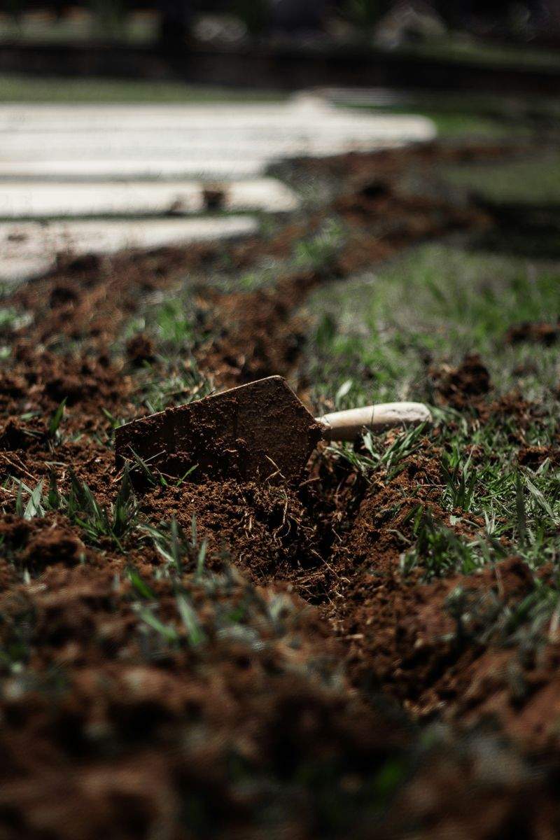 Préparer son jardin pour le printemps