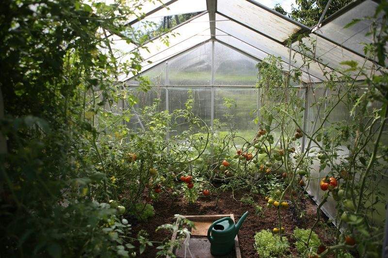 Jardin Harmonie Paysage